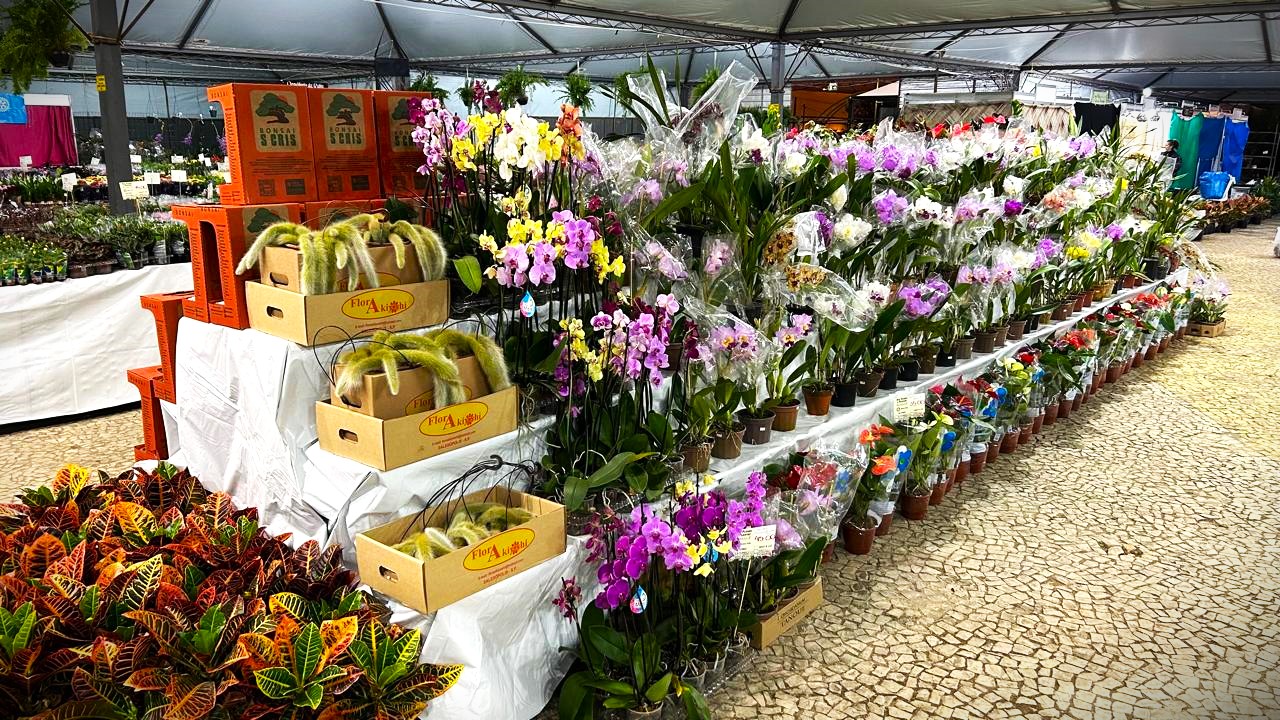 Foram dez dias de evento no Parque Ambiental