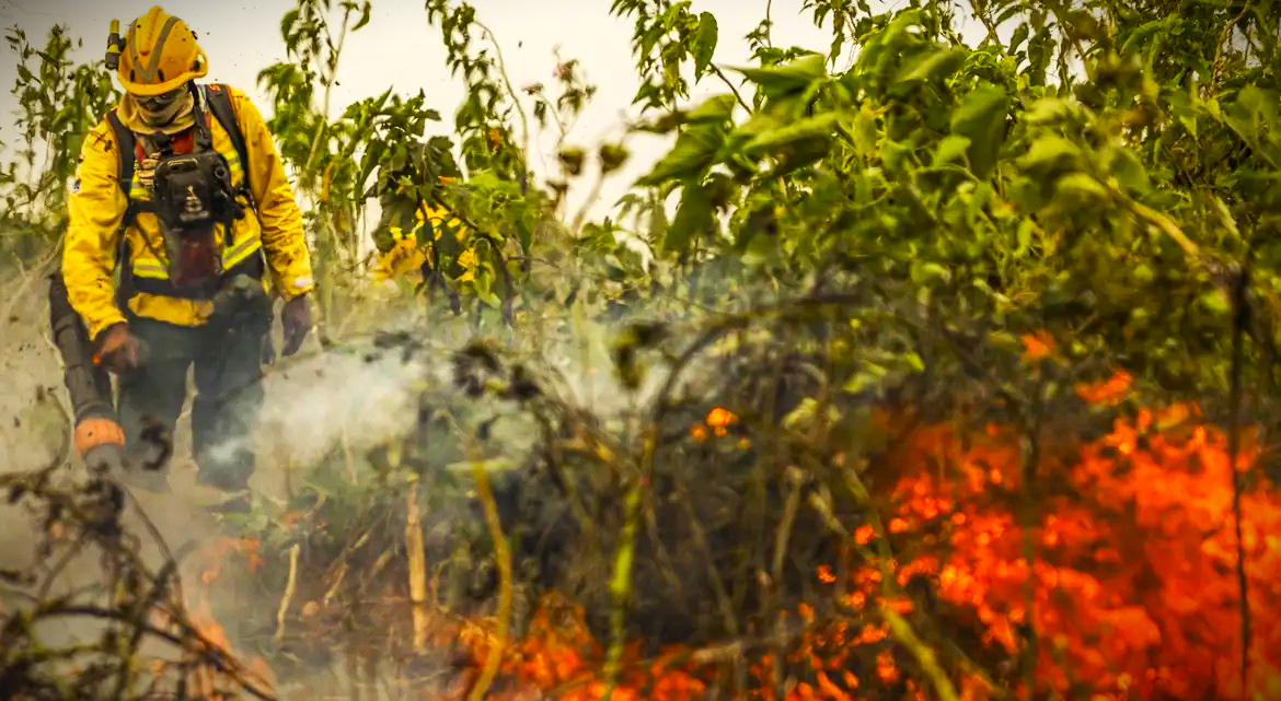 Incêndios ambientais também têm acontecido em Ponta Grossa