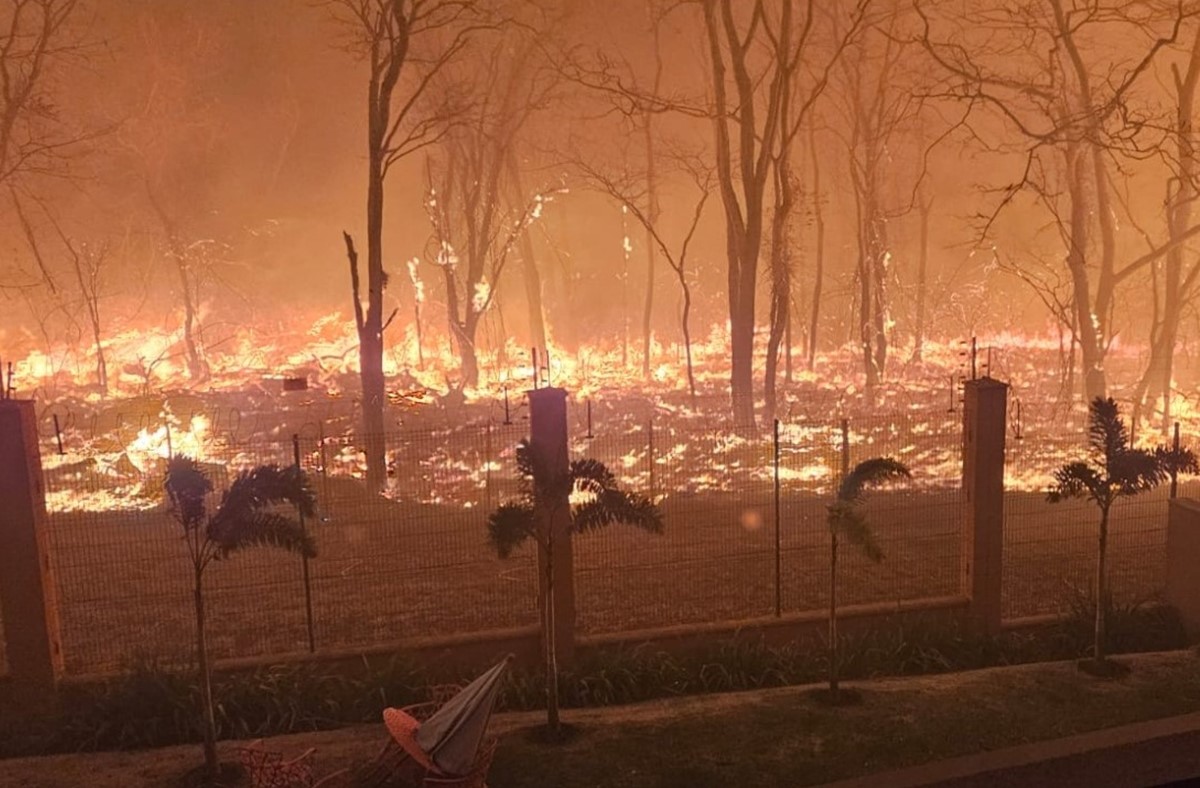 Integrantes do governo suspeitam que boa parte dos incêndios possa ter sido provocada de forma criminosa