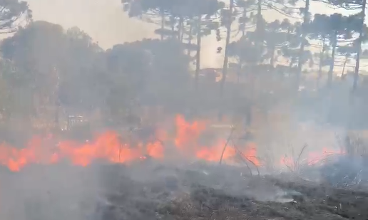 Maior parte das queimadas em terrenos é provocada pela limpeza com uso de fogo