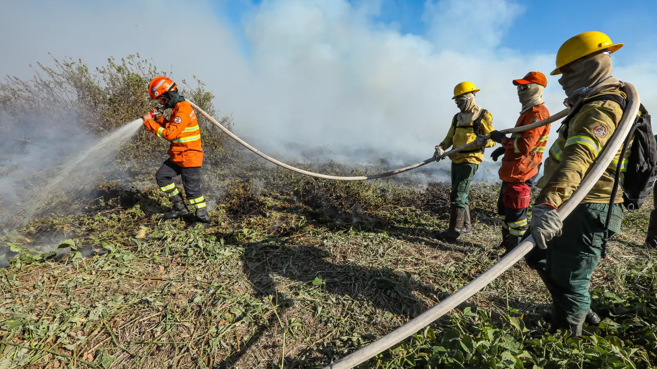 Foram registrados 112 incêndios nas últimas semanas na região do Pantanal