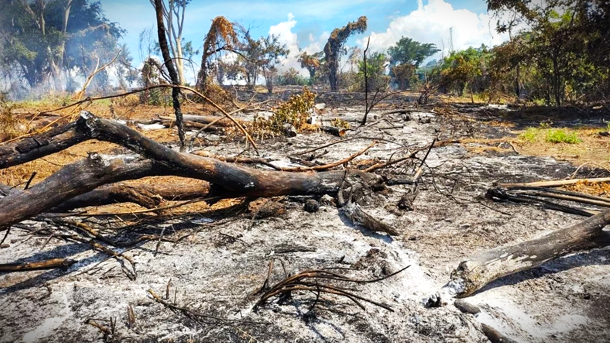 Eventos climáticos extremos deverão ser mais presentes no País