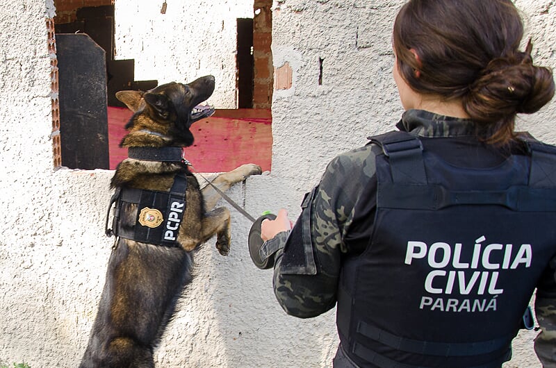 PCPR comemora 13 anos de atuação do Núcleo de Operações com Cães