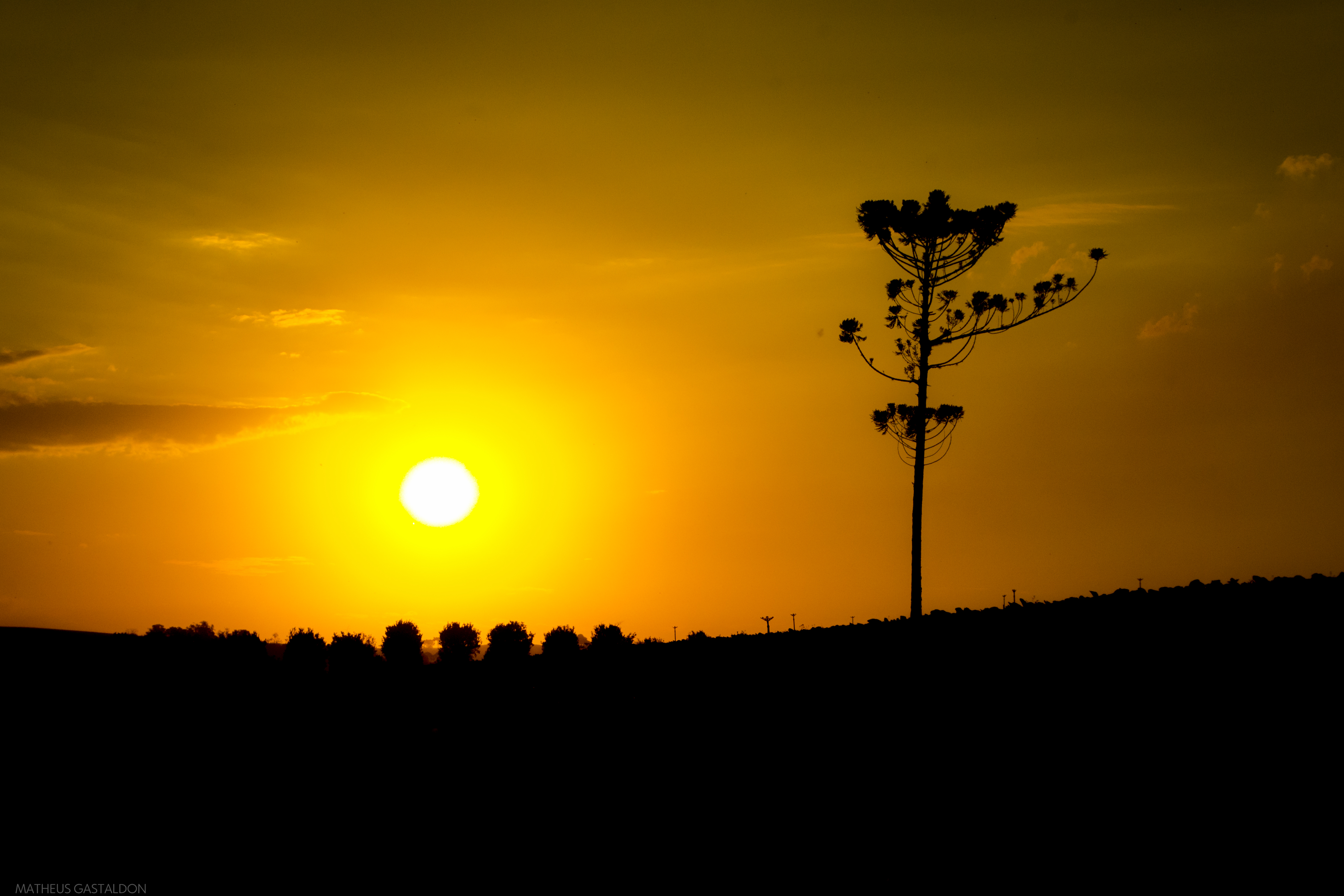 Recomenda-se evitar exposição ao sol nas horas mais quentes do dia