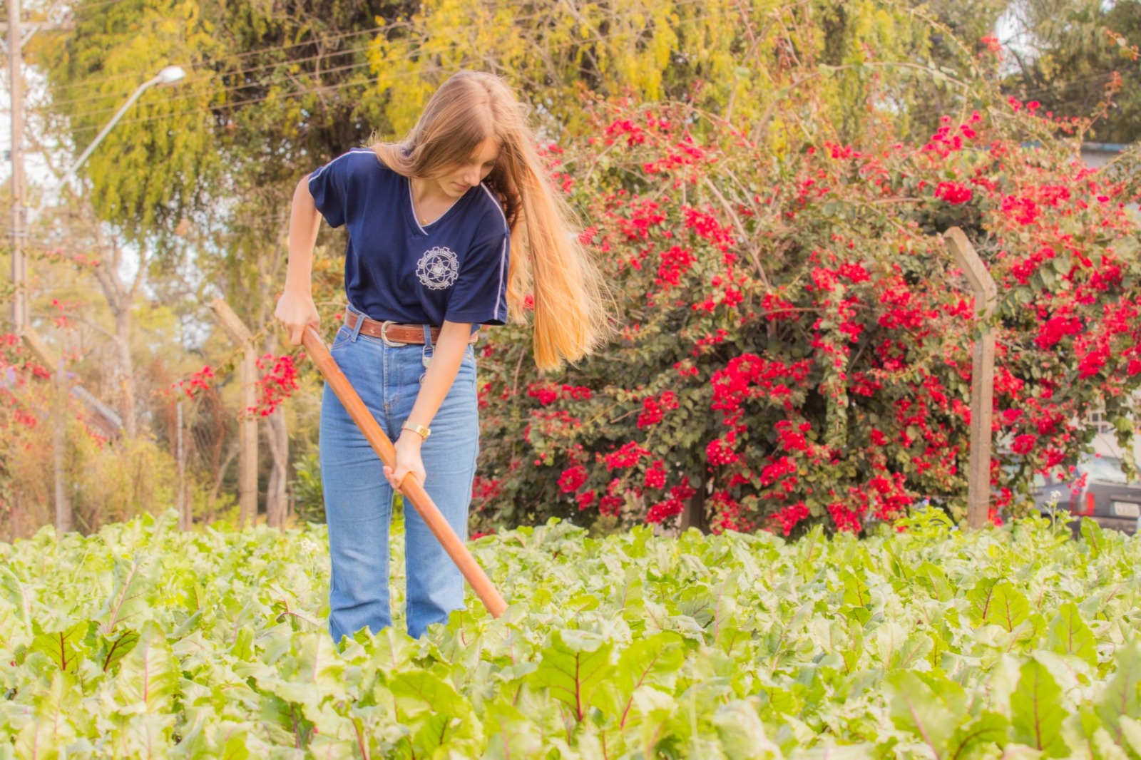 O curso de técnico em Agropecuária está com inscrições abertas.