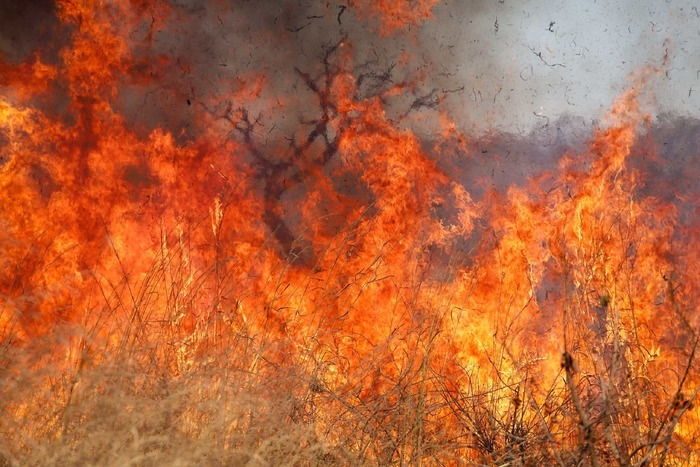 O Brasil tem passado por um período de extremos climáticos.