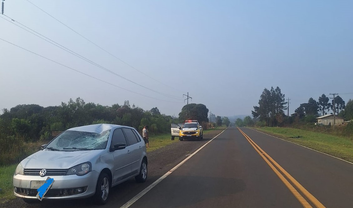 Atropelamento aconteceu na tarde desse domingo (22), na PR-170, em Pinhão