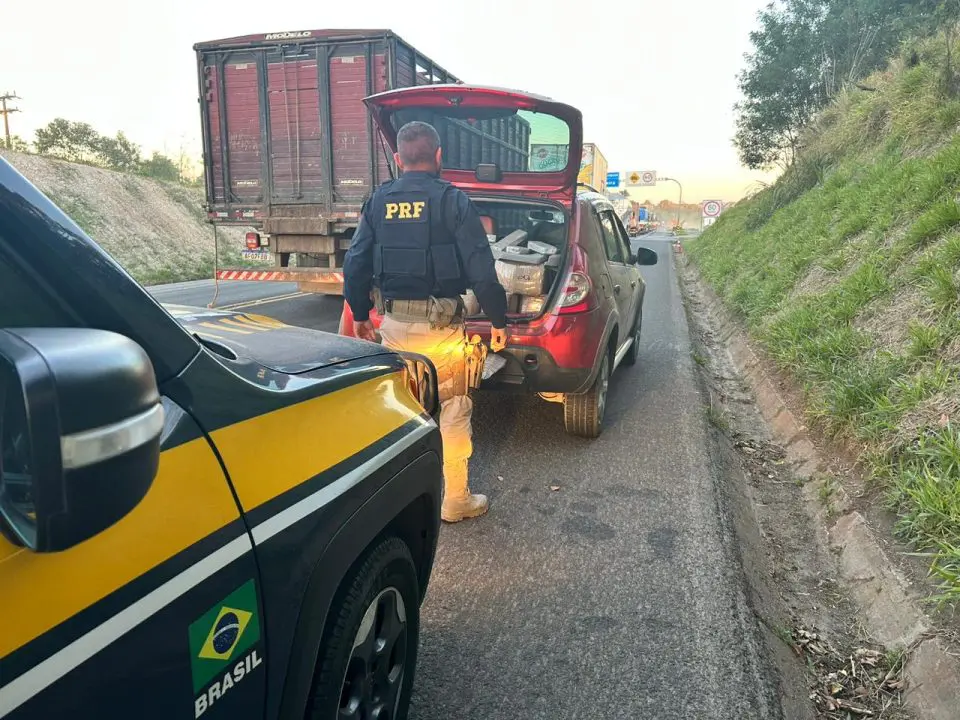 Apreensão ocorreu em Palmeira