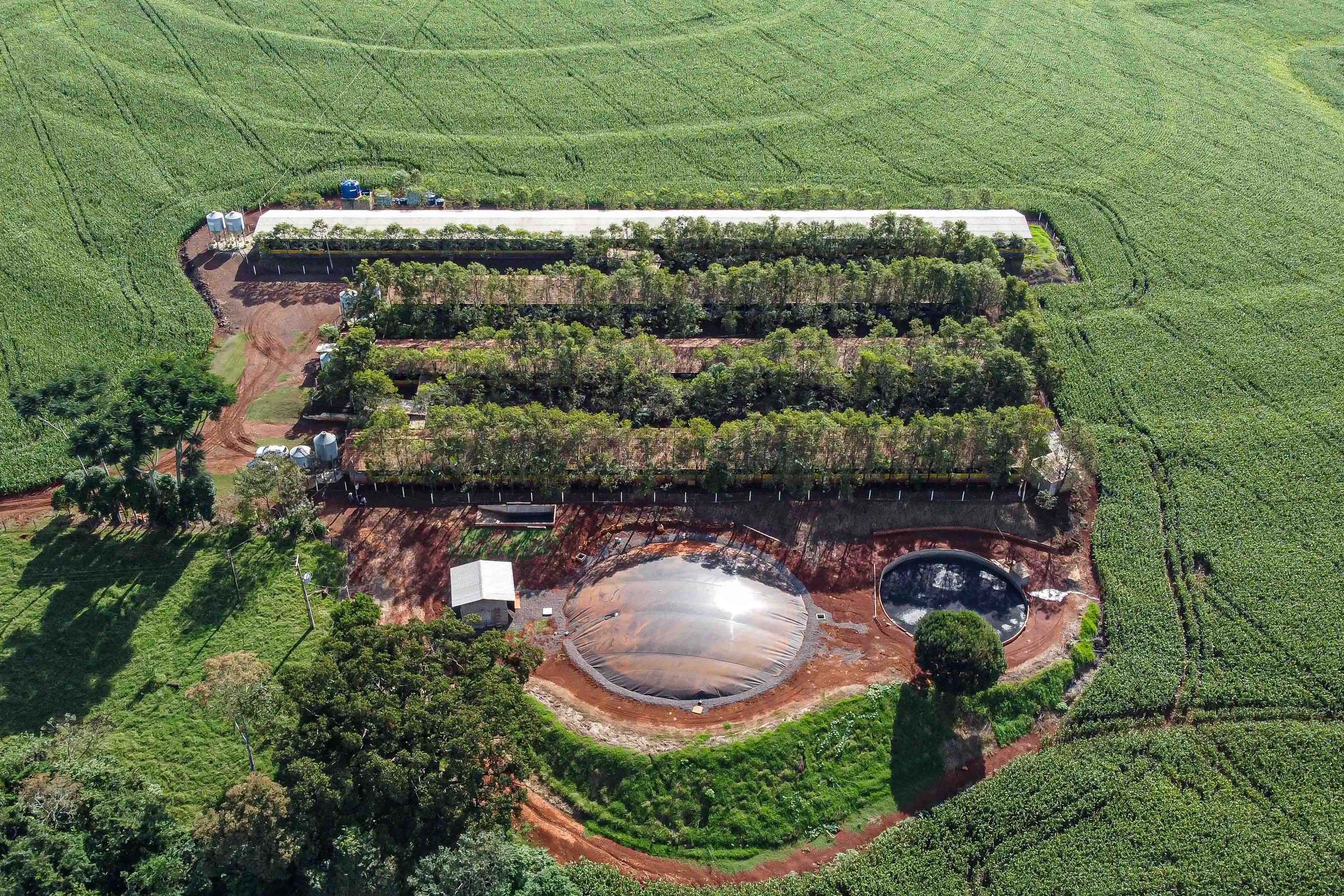 Estado recebe contribuições técnicas referentes à cadeia de energias renováveis