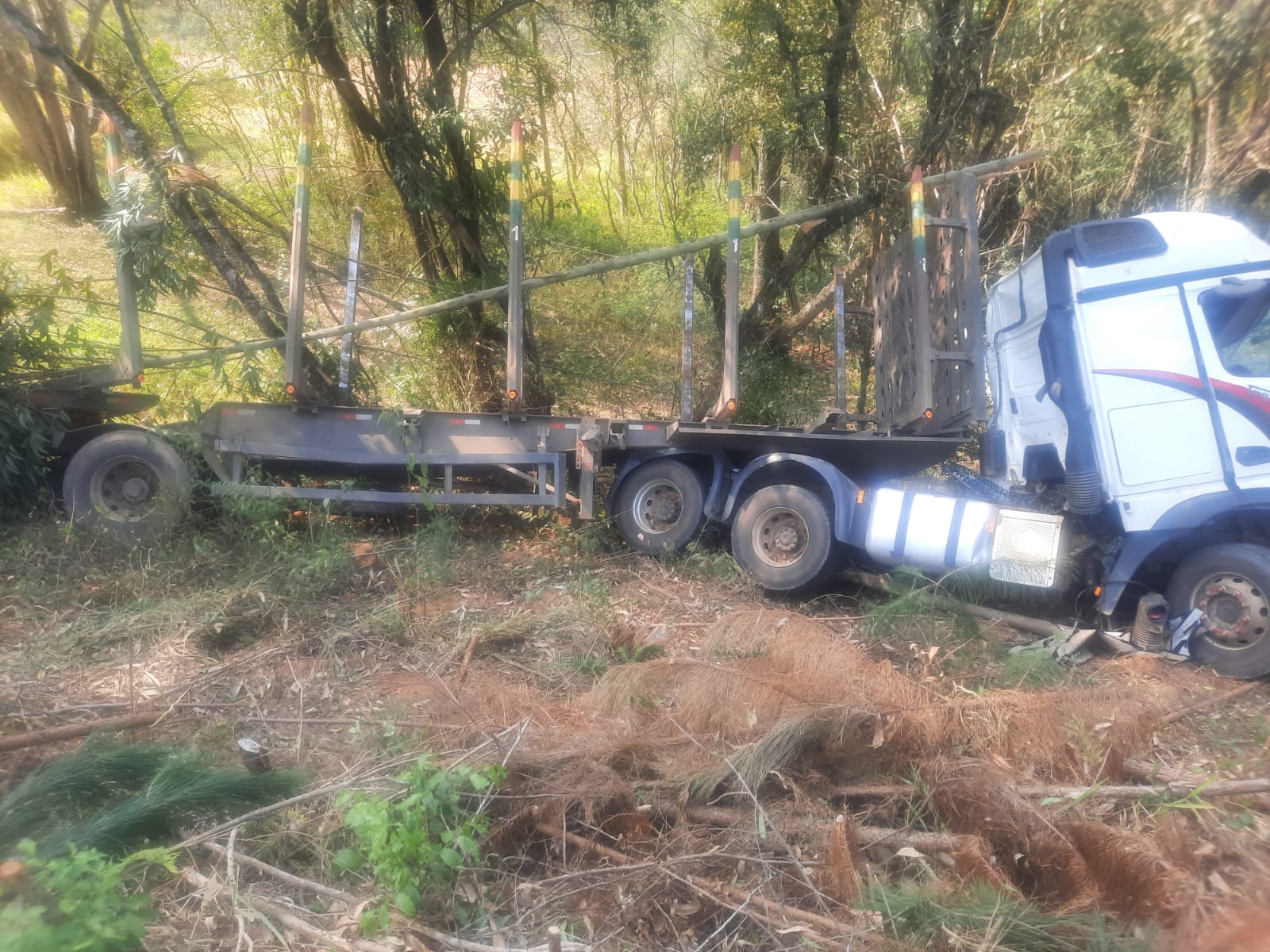 Caminhão colidiu contra uma árvore nessa quarta-feira (28), na PR-340, em Tibagi, nos Campos Gerais