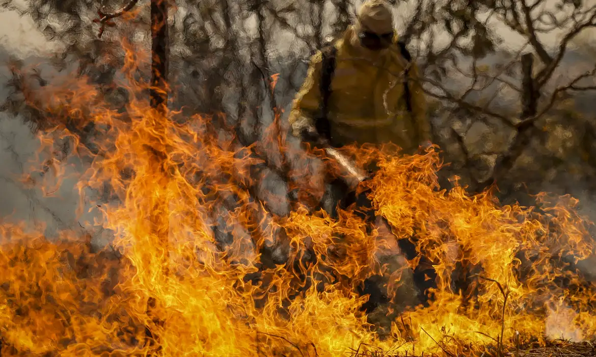 Entenda as linhas de investigação dos incêndios florestais