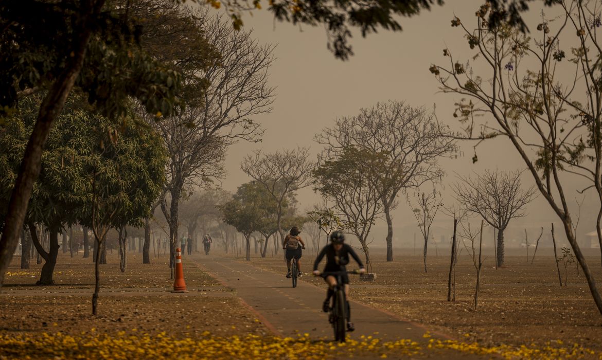 Por causa das queimadas, cidades em diversas partes do país foram atingidas por nuvens de fumaça