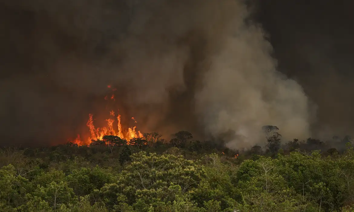 Caberá à Autoridade Climática subsidiar a execução e implementação da Política Nacional sobre Mudança do Clima