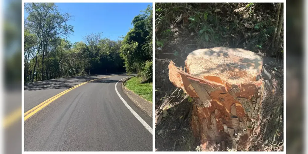 Local onde os indígenas fizeram o bloqueio da rodovia