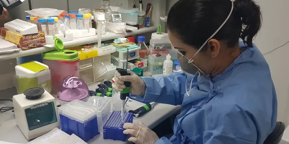 A Organização Mundial da Saúde (OMS) parabenizou o país pela eliminação da filariose linfática como problema de saúde pública