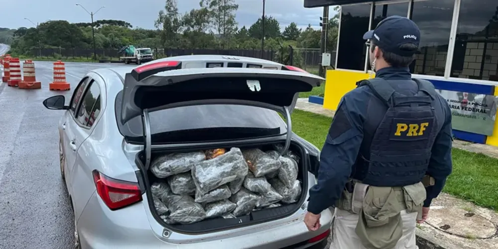 O motorista foi encaminhado para a Polícia Civil de Guarapuava