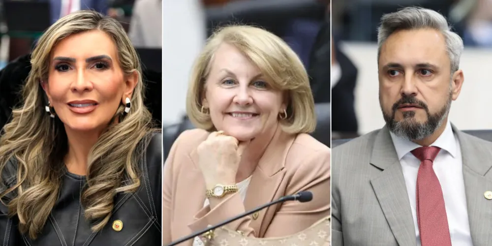 Flávia Francischini, Márcia Huçulak e Fabio Oliveira são os novos representantes de Ponta Grossa na Alep