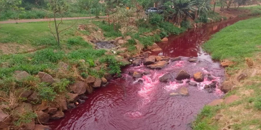 O órgão também continuará monitorando a região para avaliar possíveis danos à fauna