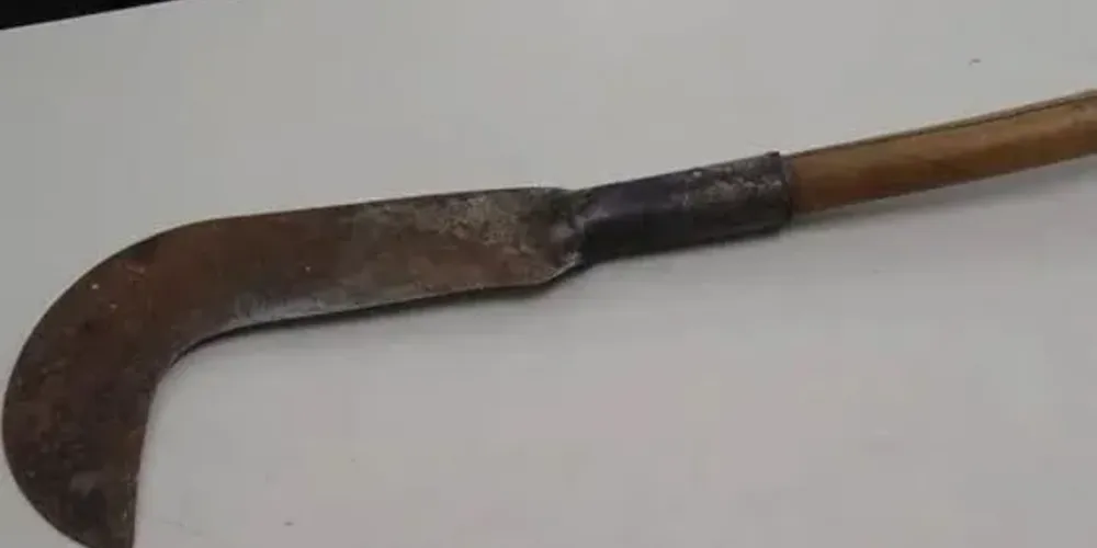 A situação foi registrada pela PM na madrugada desta segunda-feira