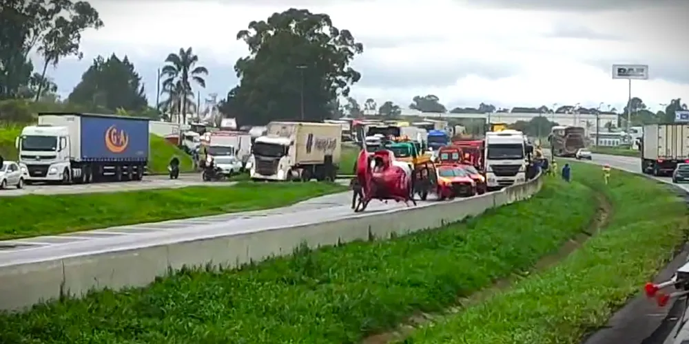 Colisão aconteceu no km 97 da BR-116, em São José dos Pinhais