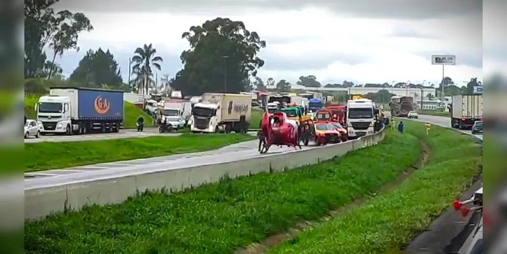 Colisão aconteceu no km 97 da BR-116, em São José dos Pinhais