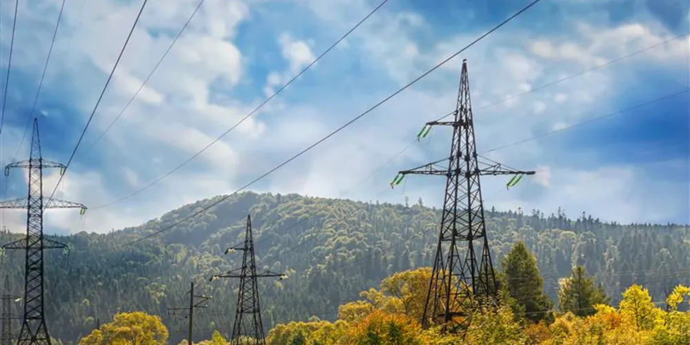 Questionário está aberto por tempo limitado para participação do empresário