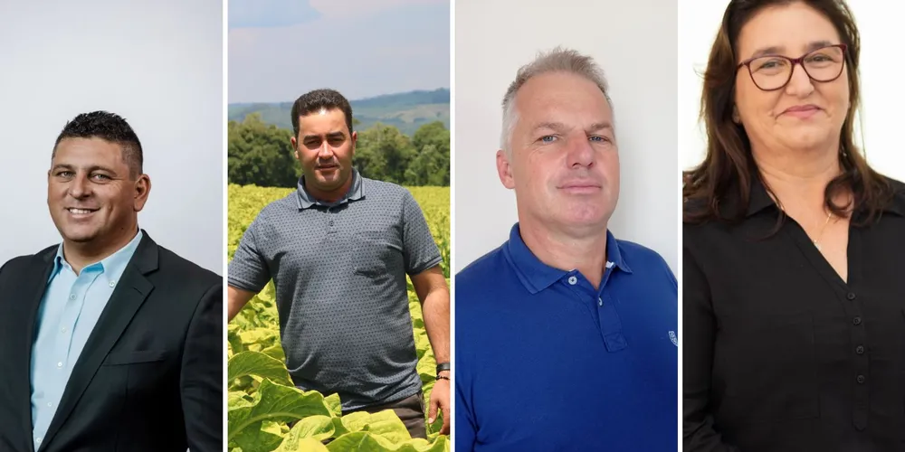 Nas eleições deste ano, quatro candidatos concorrem ao pleito