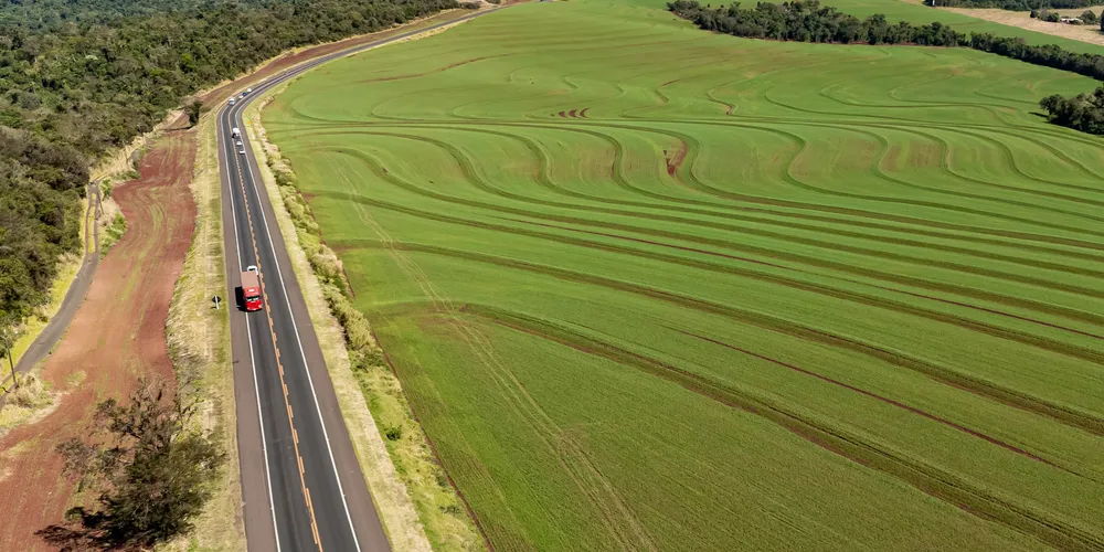 Céu Azul, 27-08-24 - BR 277, ao lado do Parque Nacional, no km 624.