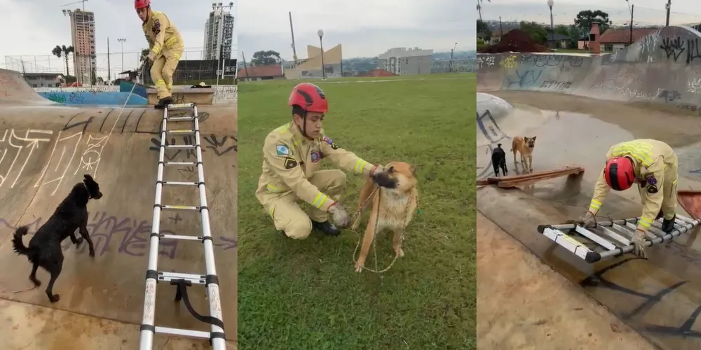Resgate aconteceu na manhã da última sexta-feira (11)