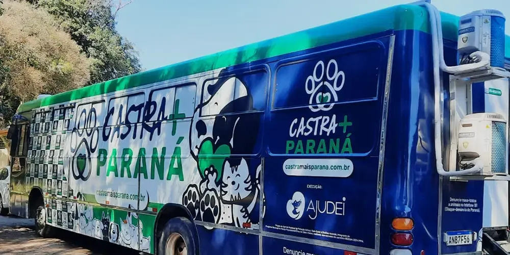 Castração ajuda a prevenir a reprodução indesejada e o abandono de animais