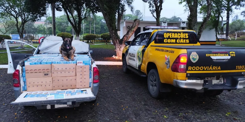 Carro e a carga ilegal foram entregues na Receita Federal