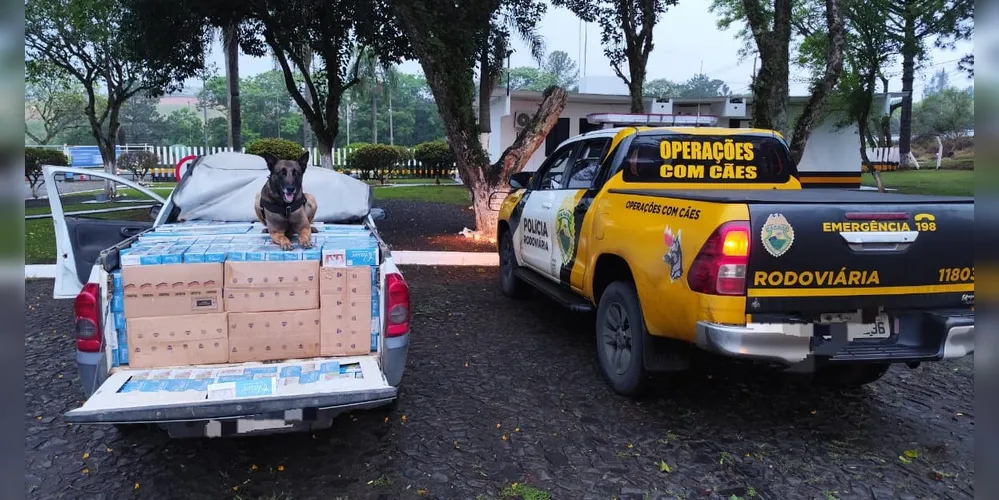 Carro e a carga ilegal foram entregues na Receita Federal