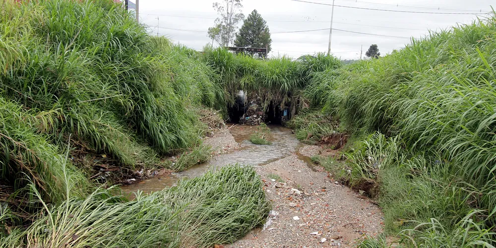 Assinatura acontece no Centro de Educação Ambiental, no Lago de Olarias, às 14h30