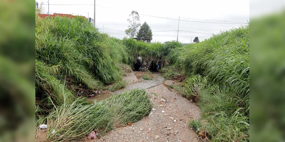 Assinatura acontece no Centro de Educação Ambiental, no Lago de Olarias, às 14h30