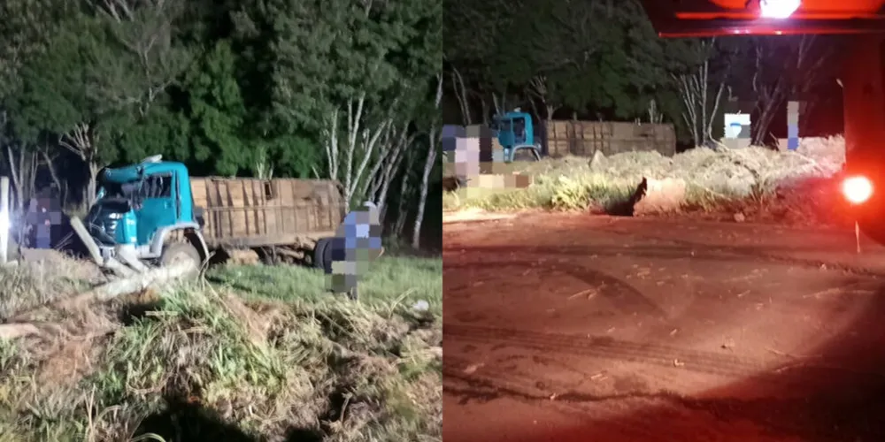 Motorista e animais foram resgatados pelo Corpo de Bombeiros