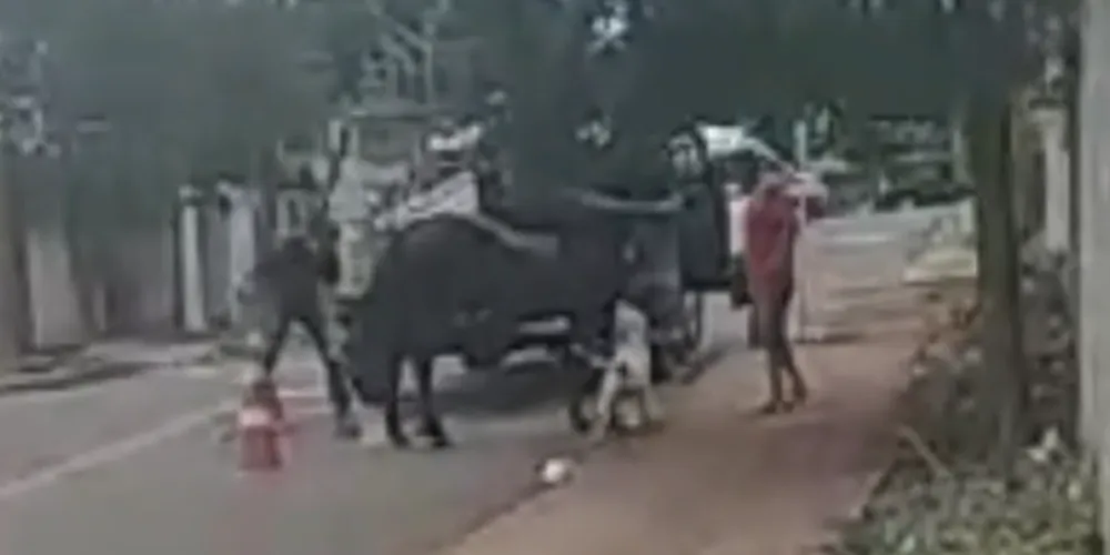 Vítima precisou receber atendimento médico