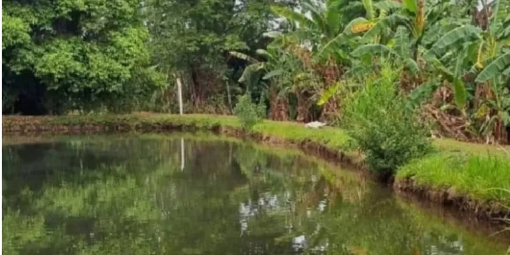 Ainda não se sabe se o caso será investigado como morte acidental