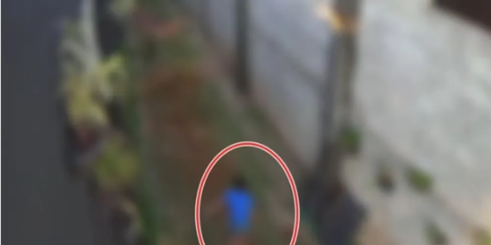 O menino, de 9 anos, foi responsável pela morte de 23 animais