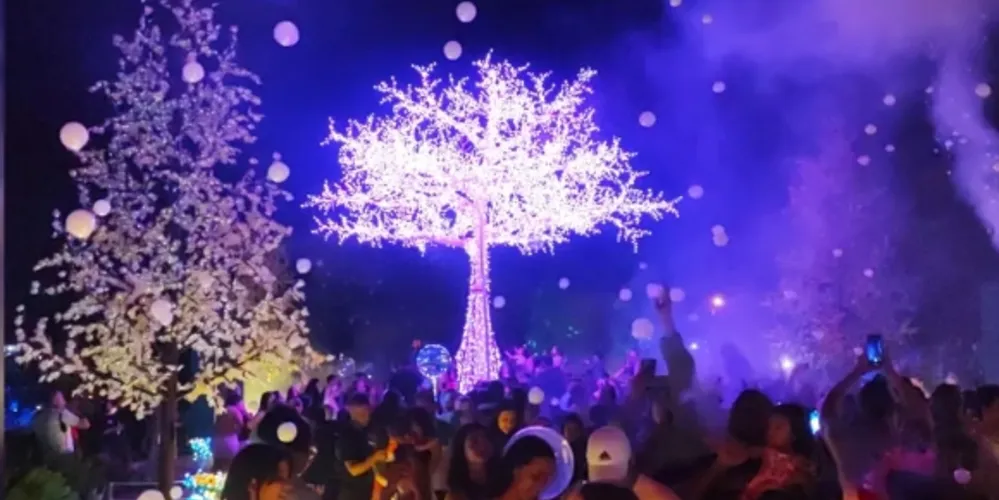 'Bosque de Luz' no Parque Linear