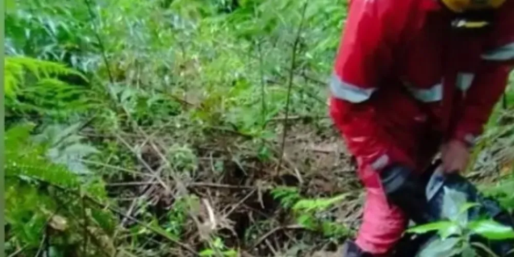 Após estudos, os bombeiros identificaram algumas possibilidades de trilhas e destinos possíveis da dupla