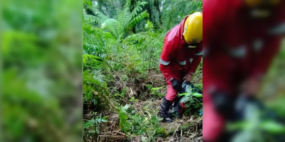 Após estudos, os bombeiros identificaram algumas possibilidades de trilhas e destinos possíveis da dupla