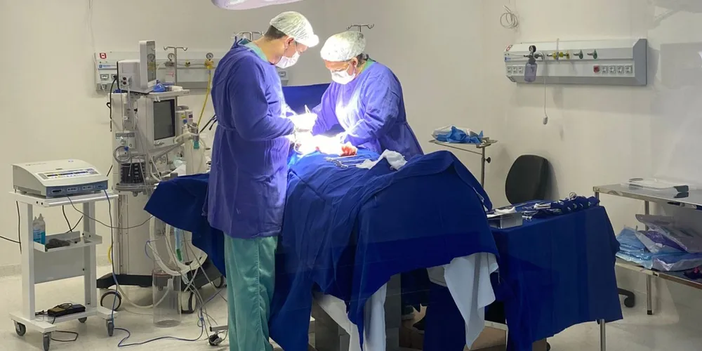 Paraná faz mais de 1.800 cirurgias eletivas por dia, número é o maior da década