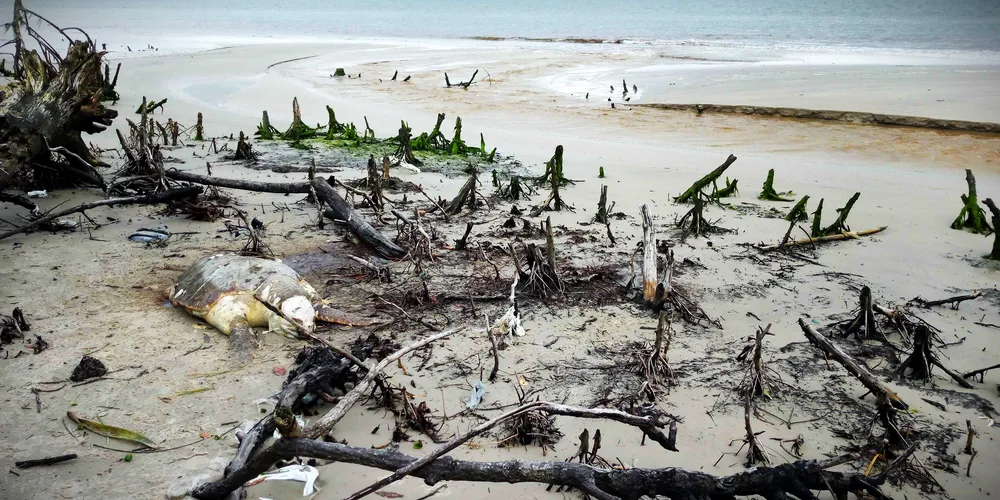 Ocorrências foram registradas em cinco municípios do litoral paranaense