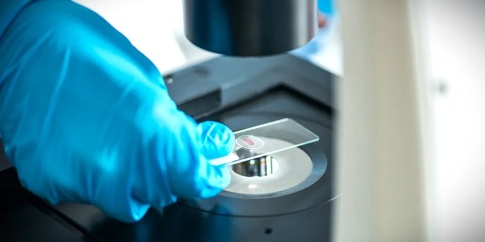 A Polícia Científica será a responsável pela coleta do exame