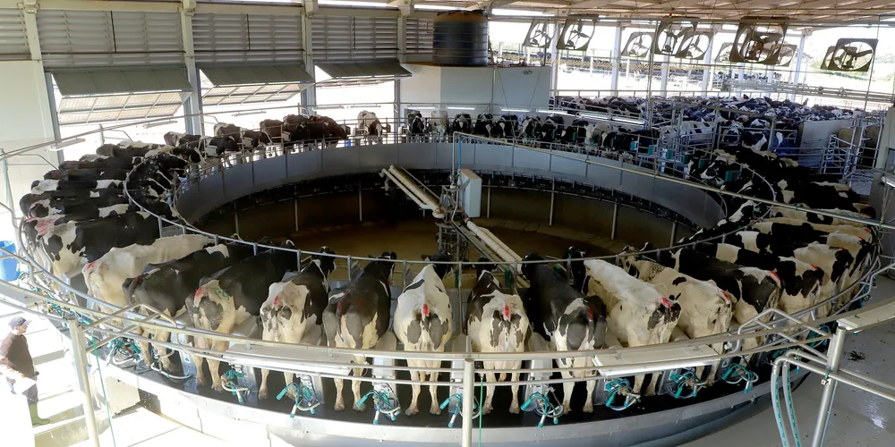 Região dos Campos Gerais é destaque nacional na produção de leite