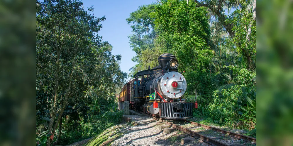 Passeios de trem geram curiosidade e atraem visitantes ao Estado