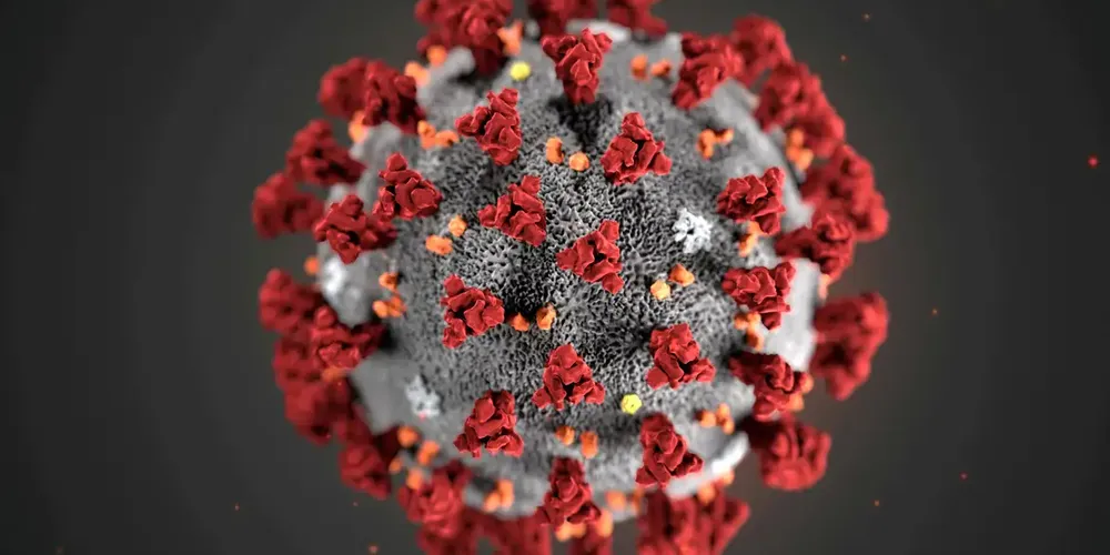 Nova variante do vírus Sars-CoV-2 é identificada em três estados