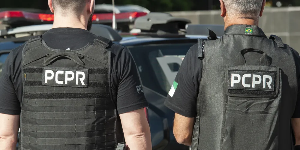 Homem foi entregue ao Departamento Penal de Irati