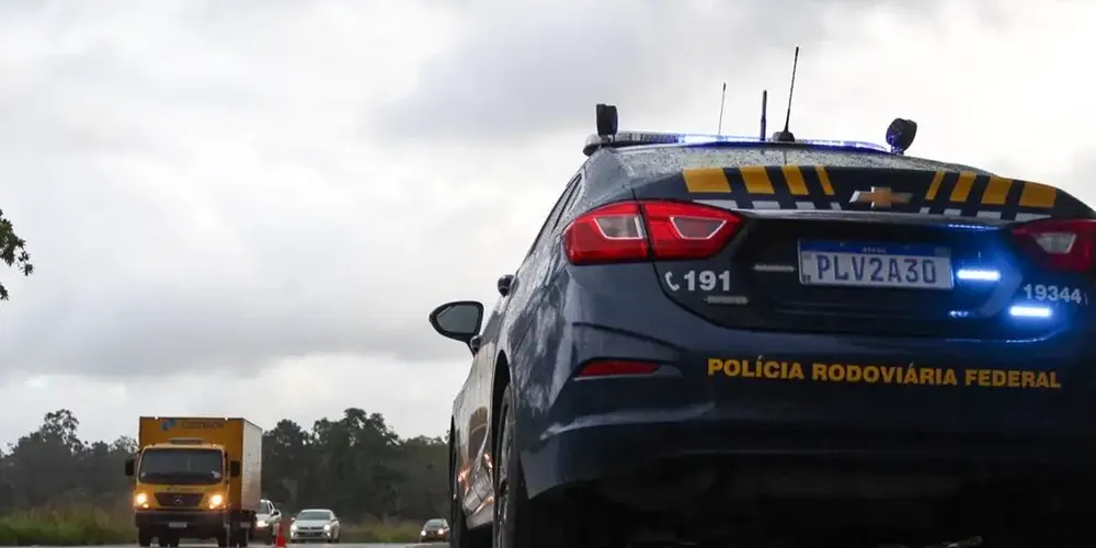 Atropelamento ocorreu no KM 258 da rodovia