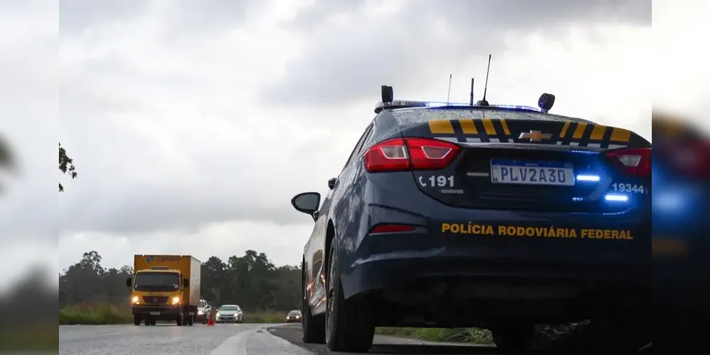 Atropelamento ocorreu no KM 258 da rodovia